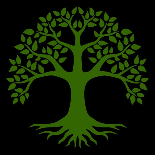 Third Image